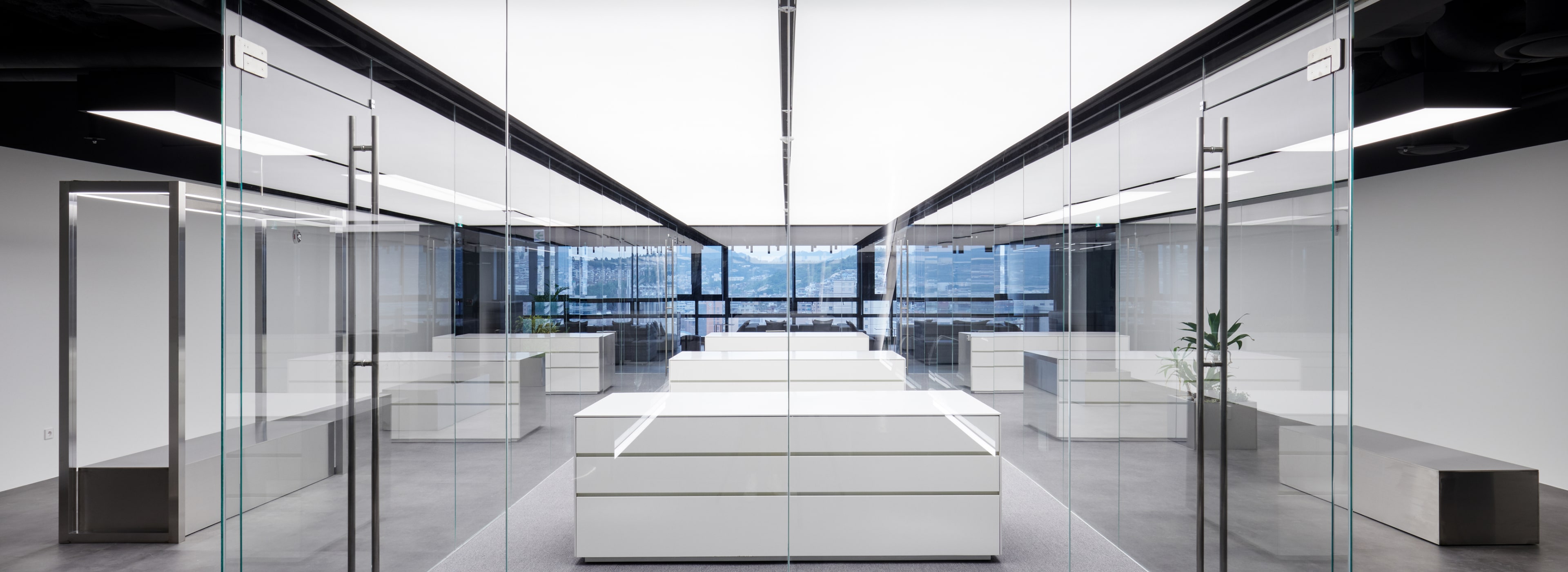 소프틀리 사무실